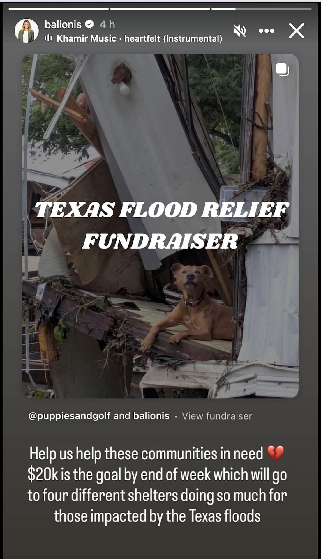 Amanda Balionis pleads her followers to donate to a good cause (Image via Instagram @balionis)